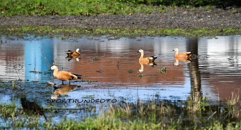 Impressionen 071.jpg